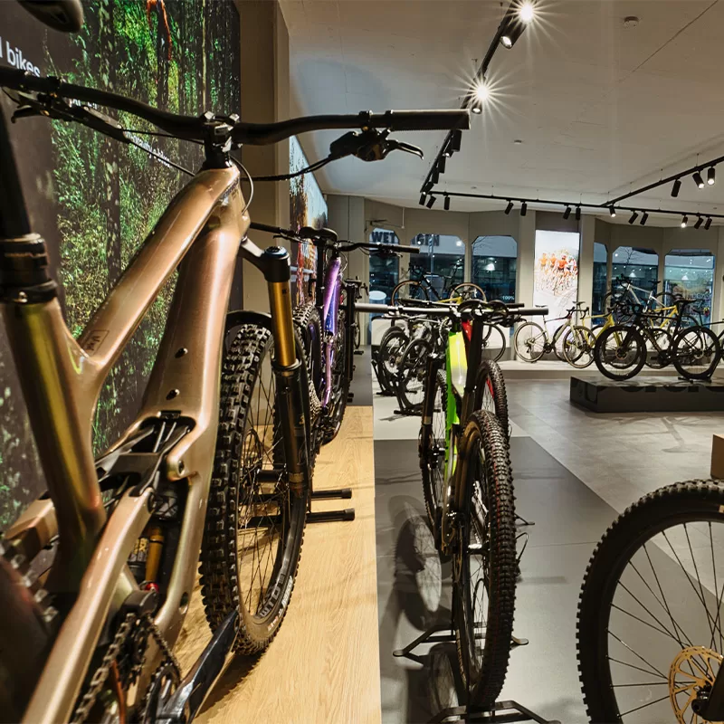 Brand Store Cannondale Bauer Sport Wettingen